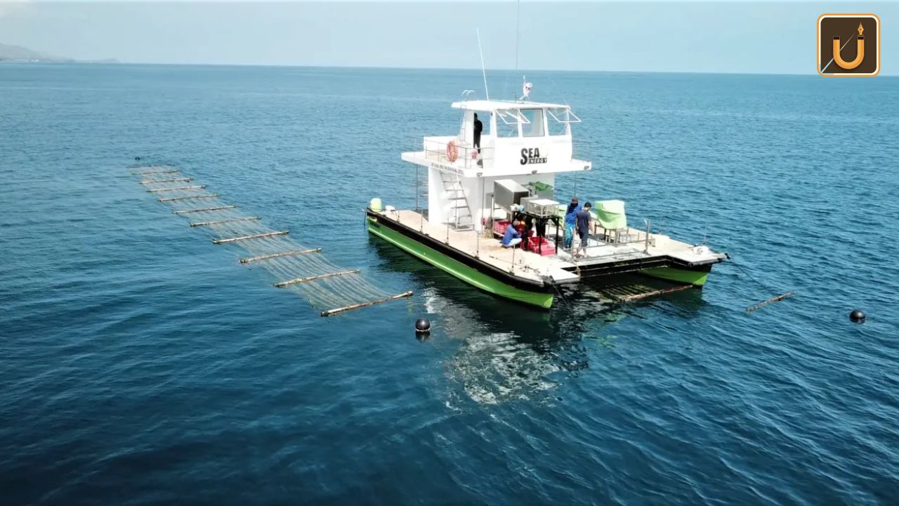 Usthadian Academy / Sea6 Energy Launches World’s First Large-Scale Mechanized Tropical Seaweed Farm | 12 mar 2024 Usthadian Academy / Sea6 Energy Launches World’s First Large-Scale Mechanized Tropical Seaweed Farm